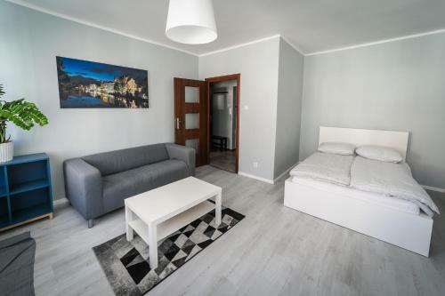 Silver Vision Apartment - Rynek Opole Extérieur photo